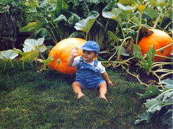 Loading cool image shortly