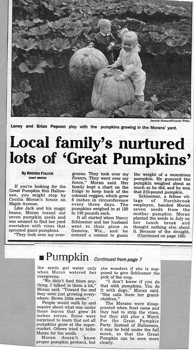 Loading cool image shortly