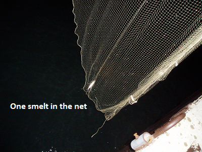 Loading cool image shortly